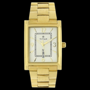 Titan Champagne Dial Analog with Day and Date Stainless Steel Strap Watch for Men nt90024ym07 Men's Watch