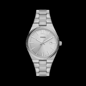 Scarlette Women Quartz Silver Dial Analog Stainless Steel Watch ES5300