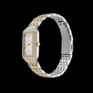 Raquel Women Quartz Silver Dial Analog Stainless Steel Watch ES5368