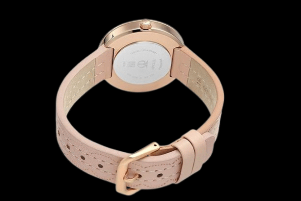 Titan Analog Rose Gold Dial Women's Watch-95083WL01 Genuine Leather, Pink Strap - Image 2